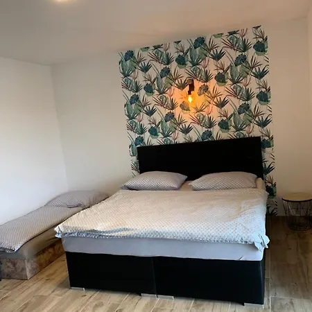 Apartment Zupanovice Dobris